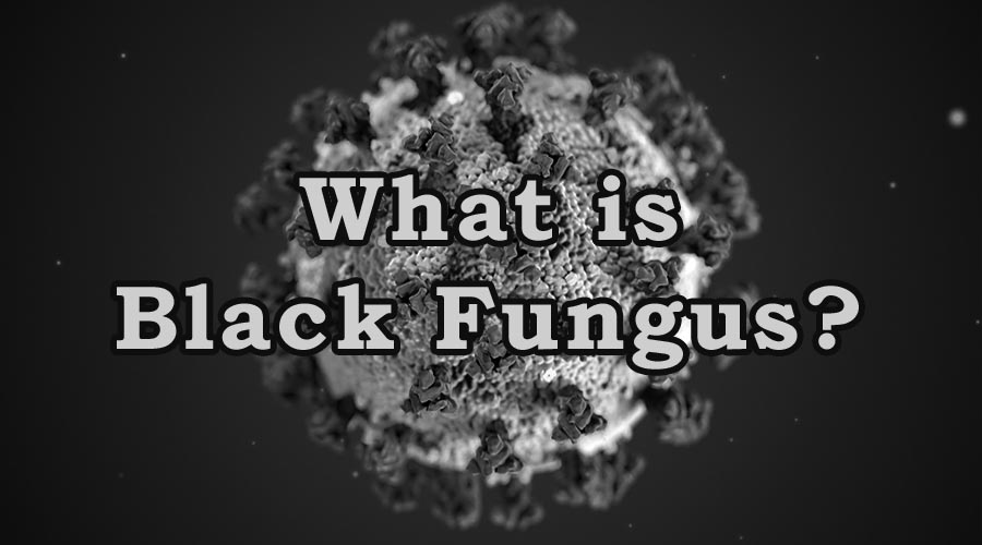 uploads/1621688639black-fungus.jpg